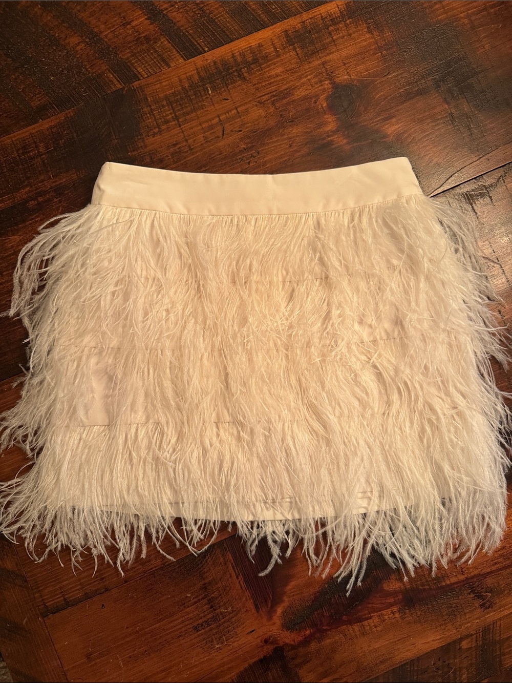 Club Monaco Feather Mini Skirt Size 4 Party Bachelorette Vacation